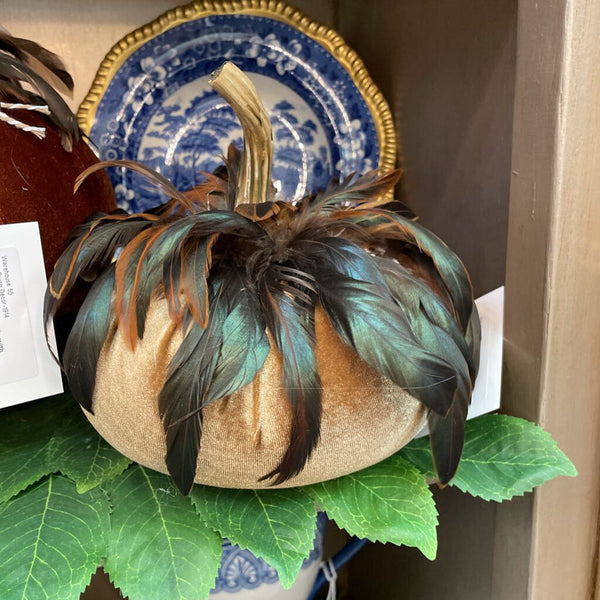 Velour Med Feather Pumkin