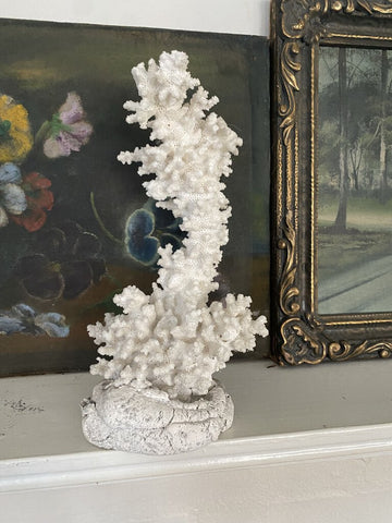 White Coral on Cement Base W1397