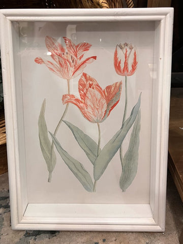 Napa Home & Garden Tulip Prints, as found - 3 red tulips 11x15.5