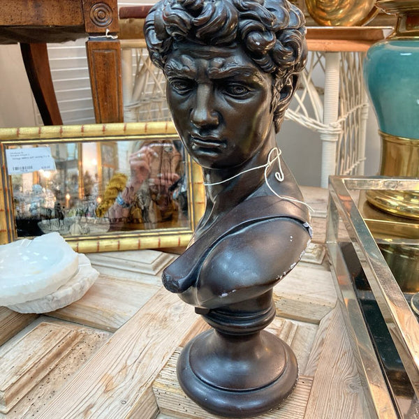 Michelangelo's David Bust 13"