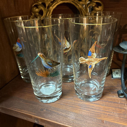 Set of Vintage Puffy Game Bird Glasses