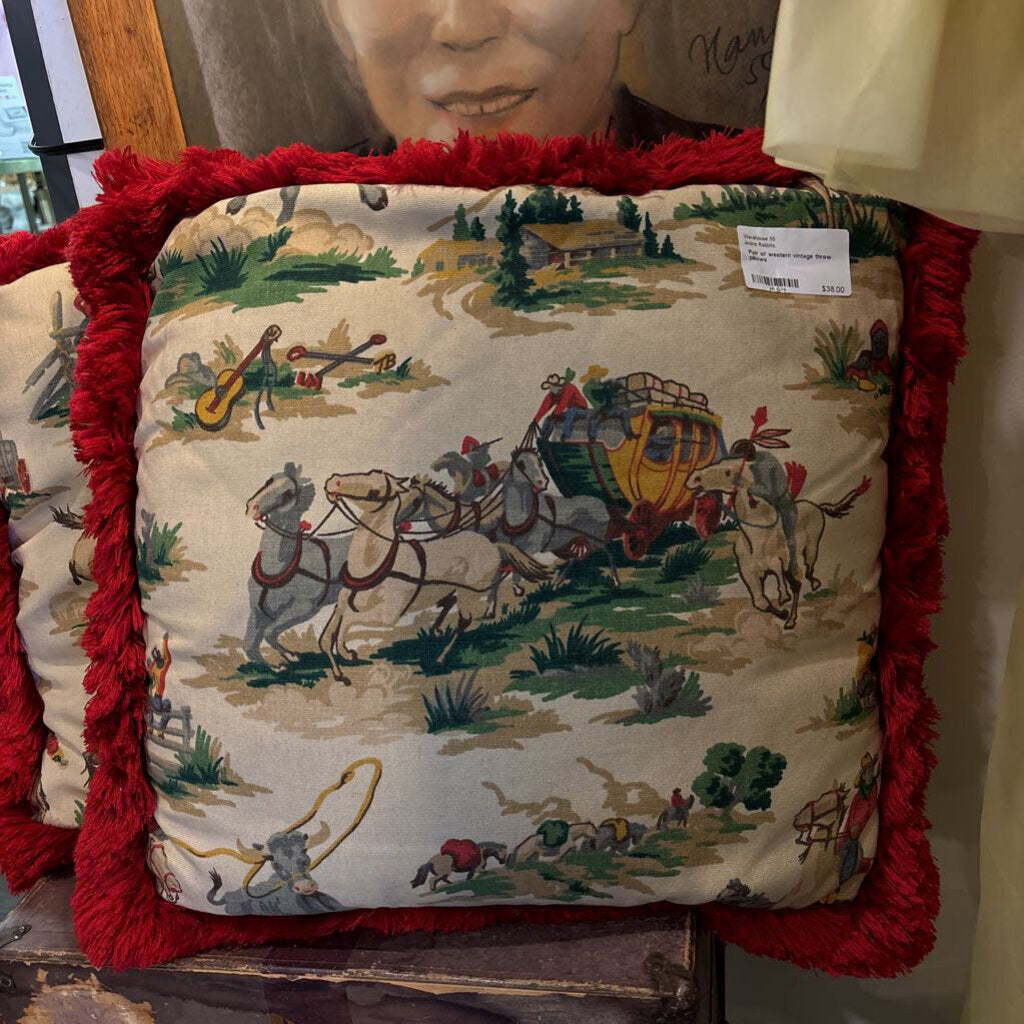 Pair of western vintage throw pillows