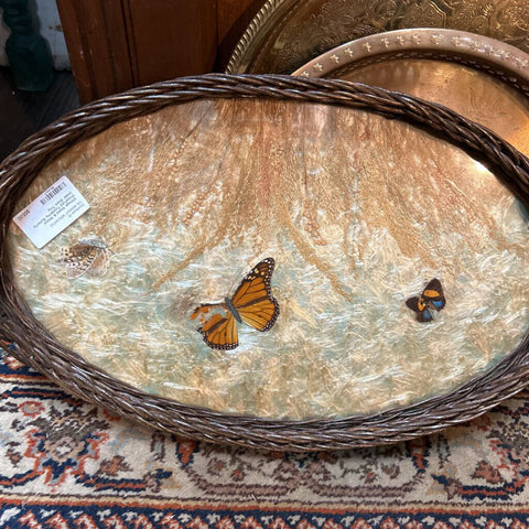 Vintage Wood & Wicker Preserved Taxidermy Butterfly Under Glass Tray