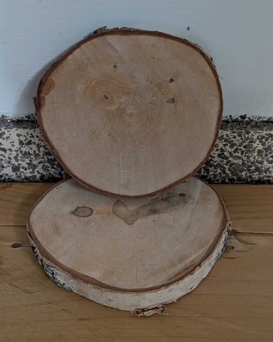 Birch Wood Slice 6" - Each