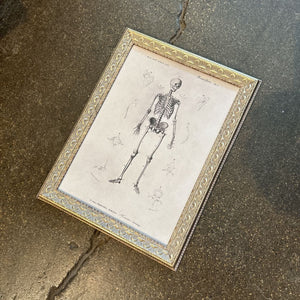 Skeleton Anatomy Framed Antique Art 12x16