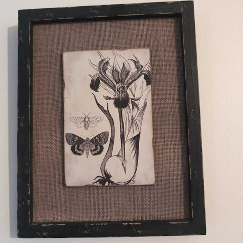 Black Floral Picture with Butterfly. 11x14