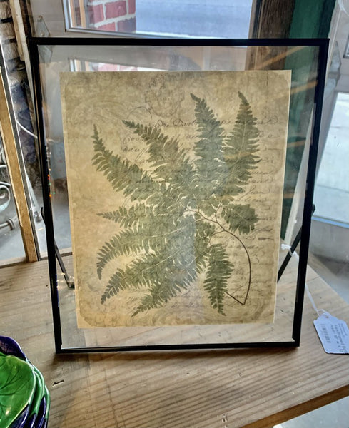 Fern Framed Botanical Print~ 10" w x 12" l