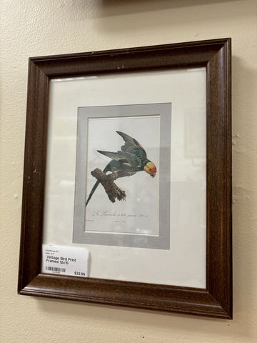 Vintage Bird Print Framed 12x10