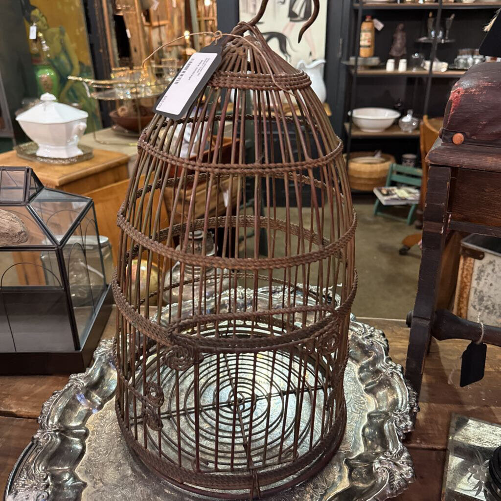 Wire birdcage