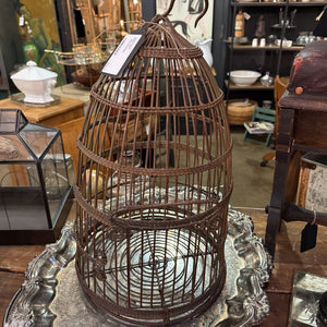 Wire birdcage