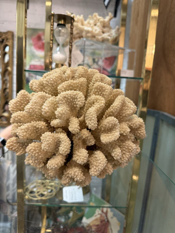 Cauliflower Coral W1447