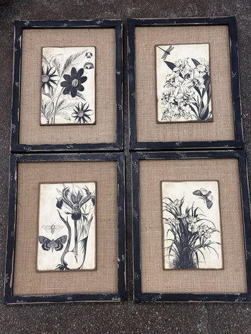 Black + White Wooden Framed Florals 11 x 14 Set of 4