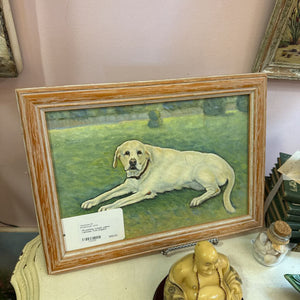 Oil painting, framed, yellow Labrador, from England