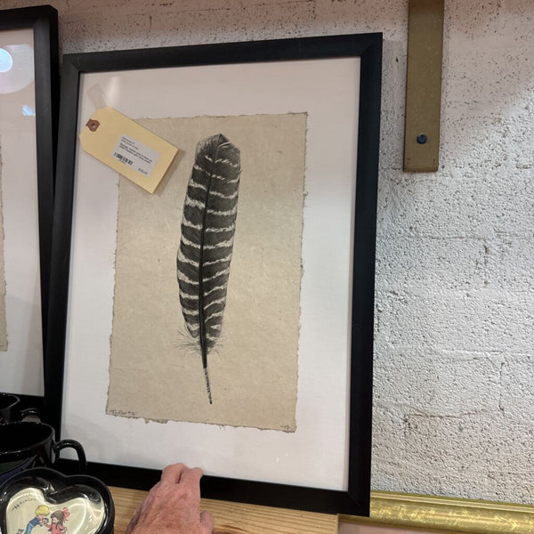 Barloga feather print in black on white shadow box frame (each)