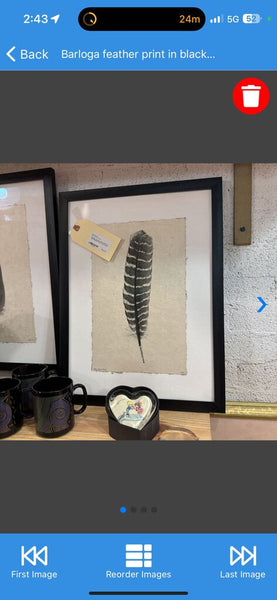 Barloga feather print in black on white shadow box frame (each)