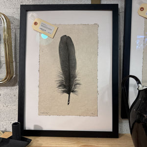 Barloga feather print in black on white shadow box frame (each)