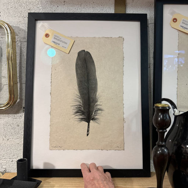 Barloga feather print in black on white shadow box frame (each)