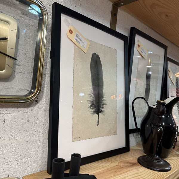 Barloga feather print in black on white shadow box frame (each)