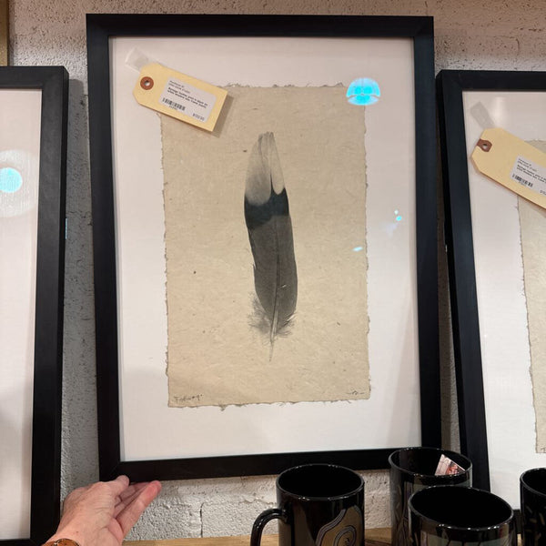 Barloga feather print in black on white shadow box frame (each)