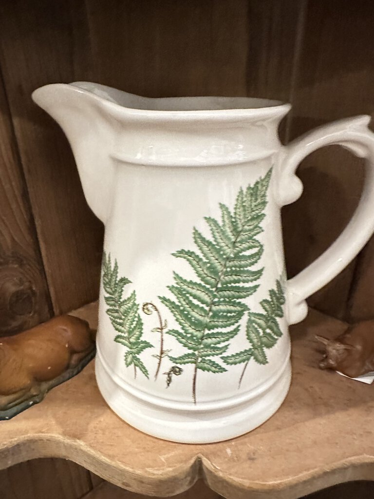 Fern pitcher