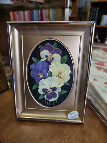 Real pressed pansies 6 x 4.5