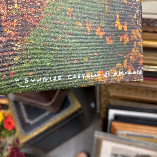 Signed photograph of castle on canvas