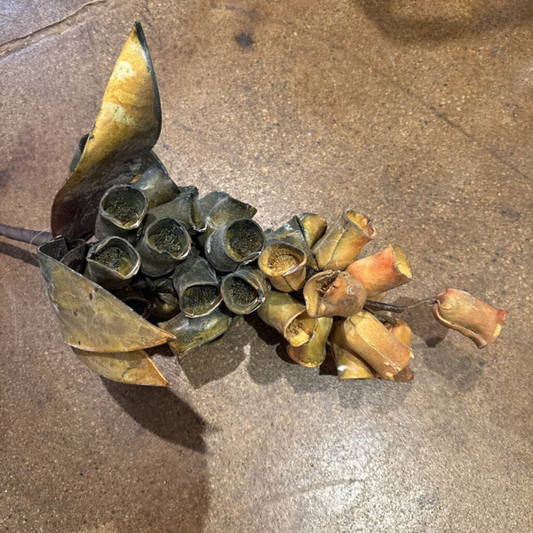 BOTANICA