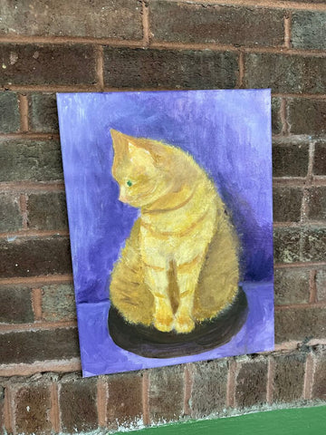 Cat portrait