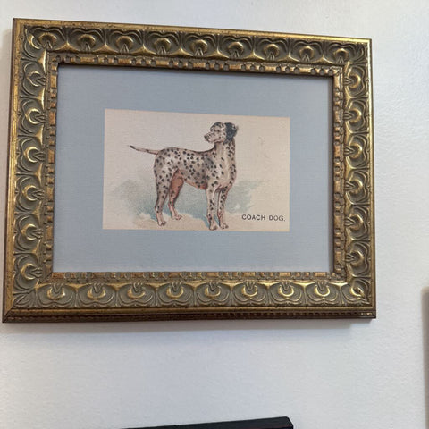 Dalmation Art