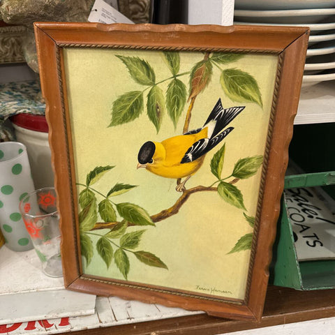 Jens Fresh Vintage ~ Vintage Goldfinch bird painting .