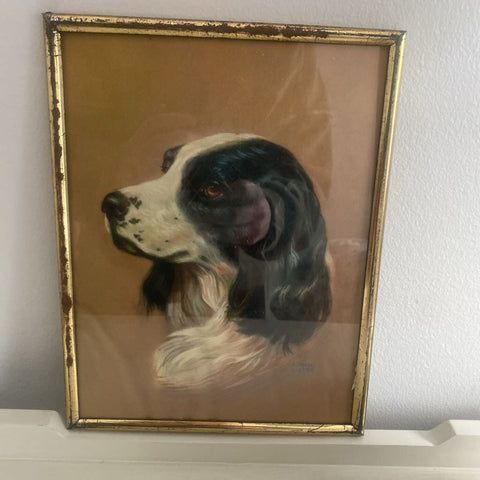 Vintage Cocker Spaniel 7" x 9"