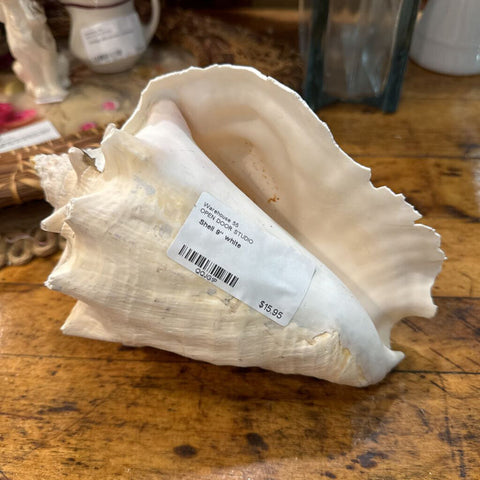 Shell 9" white