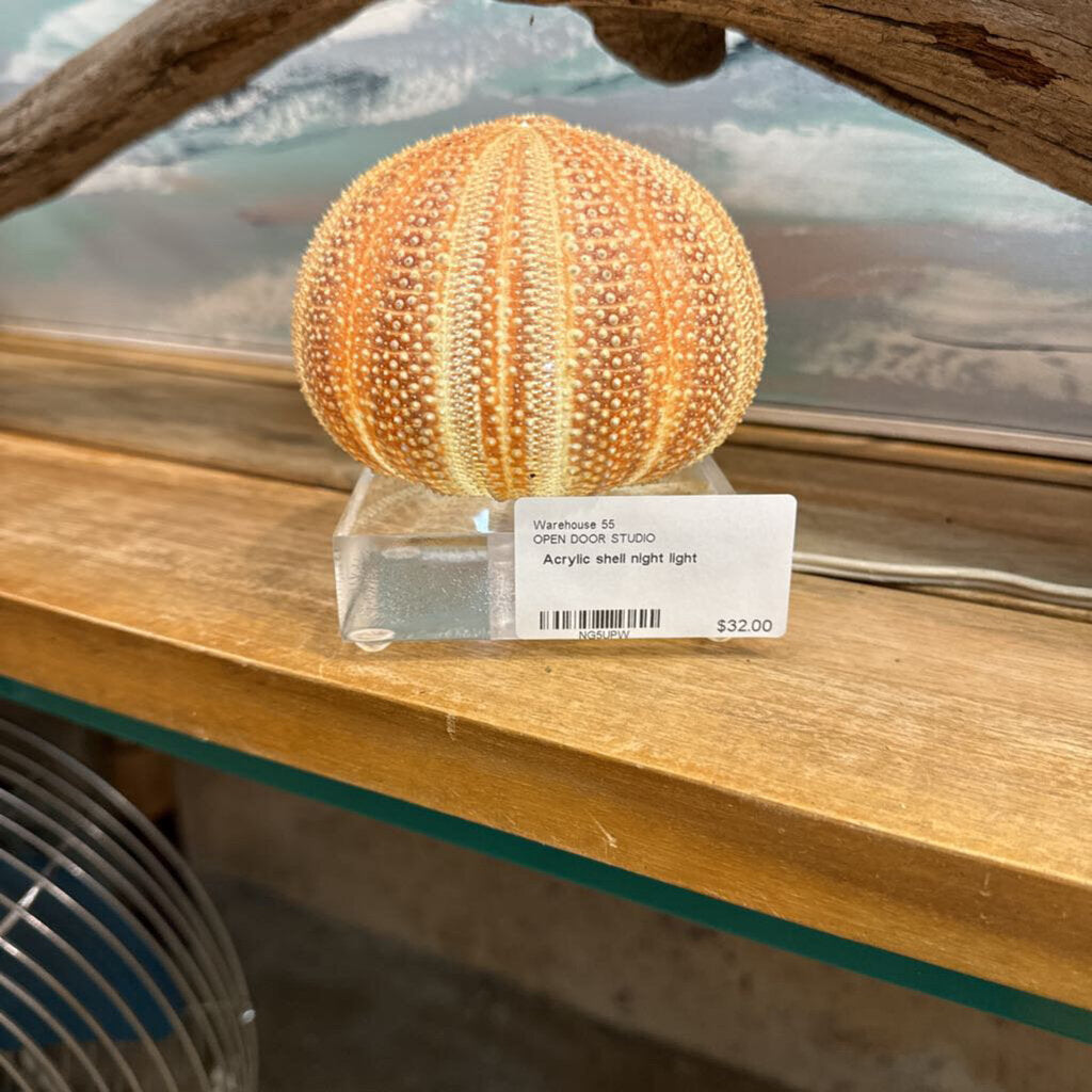 Acrylic shell night light