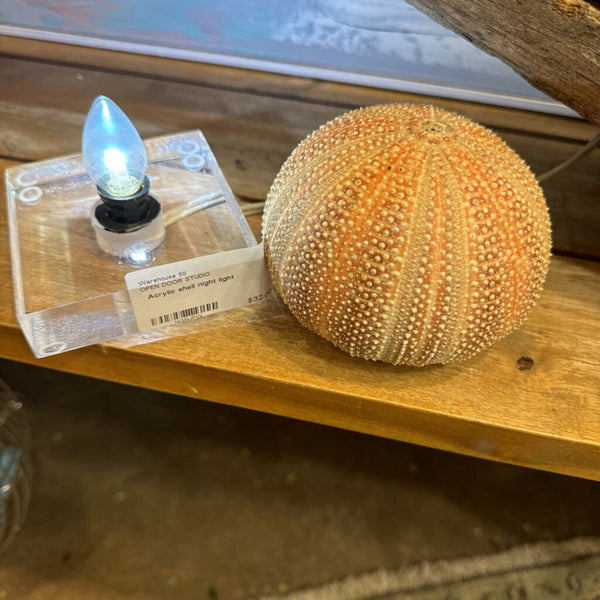 Acrylic shell night light