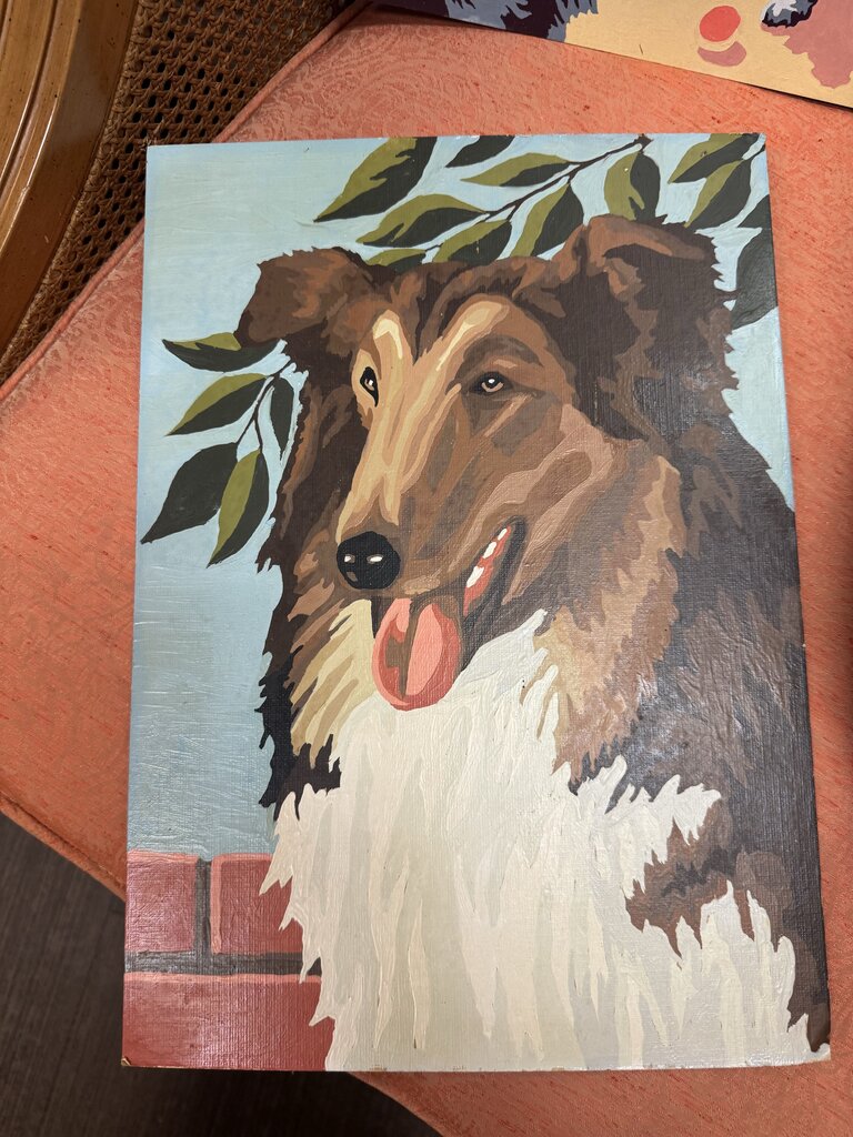 Paint by Number Collie W0613