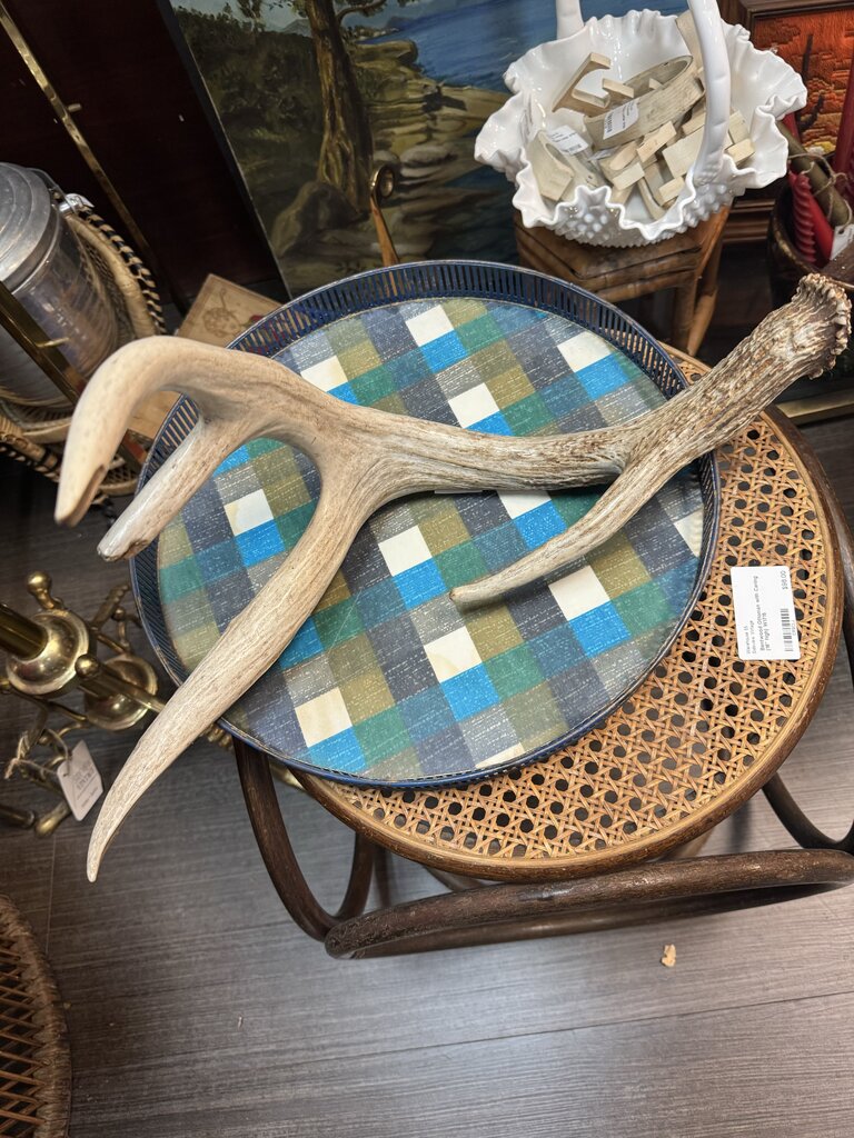 Large Antler W1394