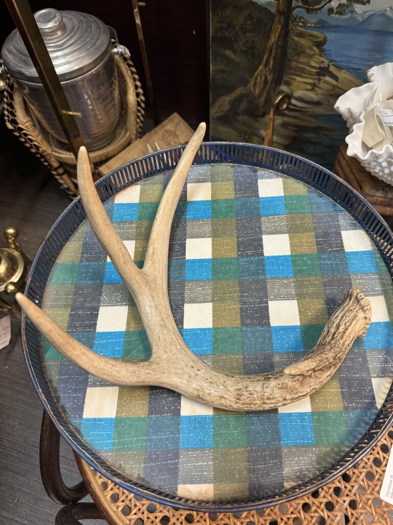 Antler W1395