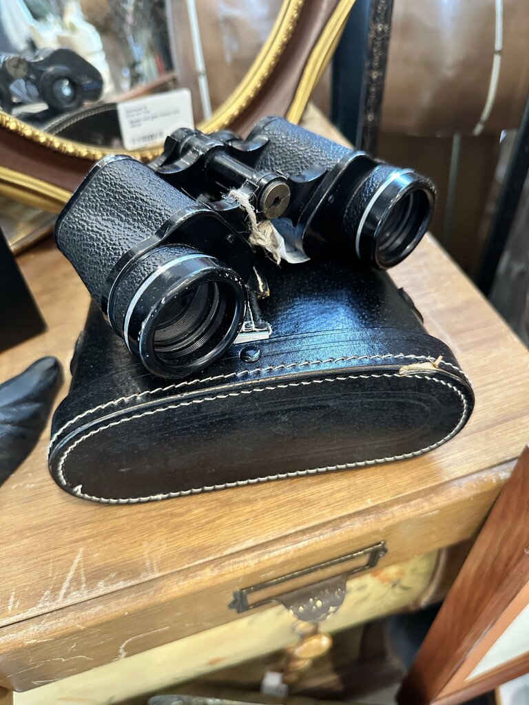 Vintage Bushnell binoculars with case