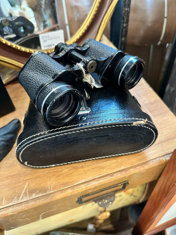 Vintage Bushnell binoculars with case