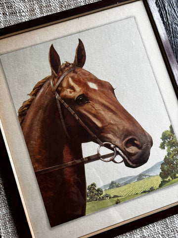 Vintage Framed Horse Print