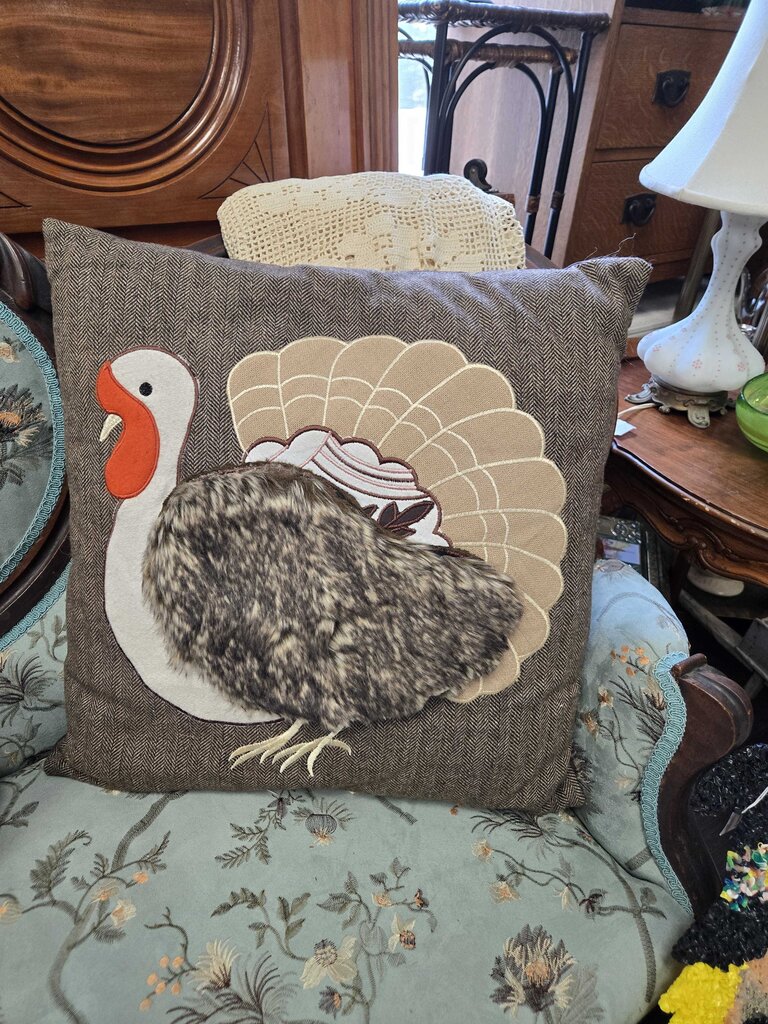 Turkey pillow 20 x 20