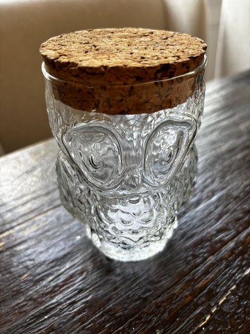 Vtg 1970s Glass Owl Jar w/ Cork Top