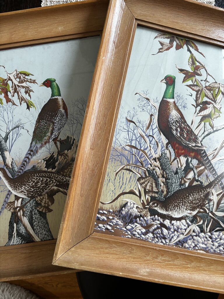 Pair of Vintage Framed Pheasant Prints 16.5 x 20.5