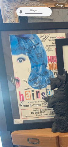 Framed cast signed "Hairspray " poster 21 x 27