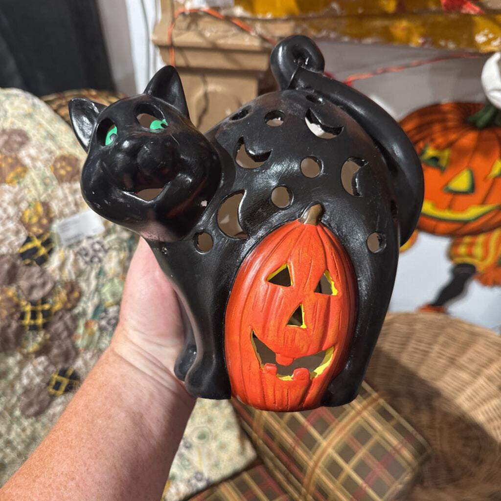 Halloween black cat w pumpkin