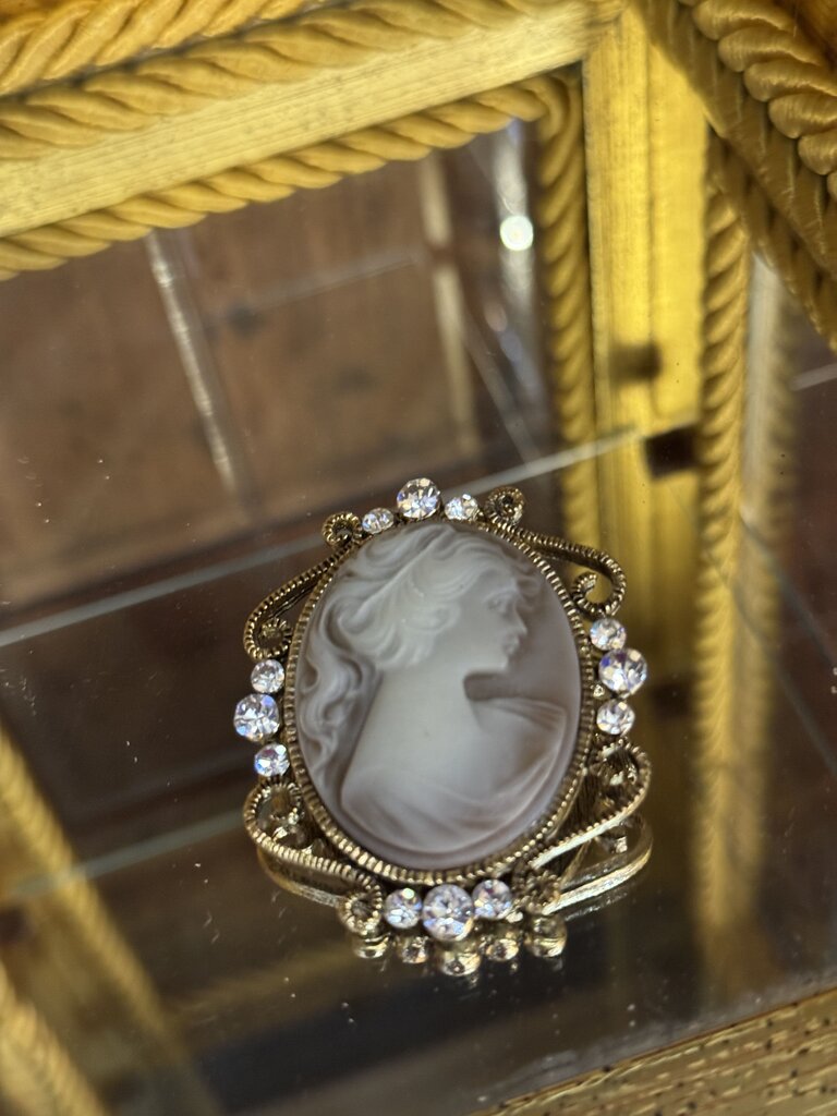 0738 Silver Cameo Brooch