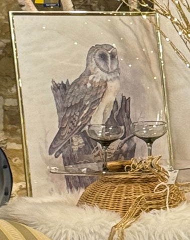 Owl print framed