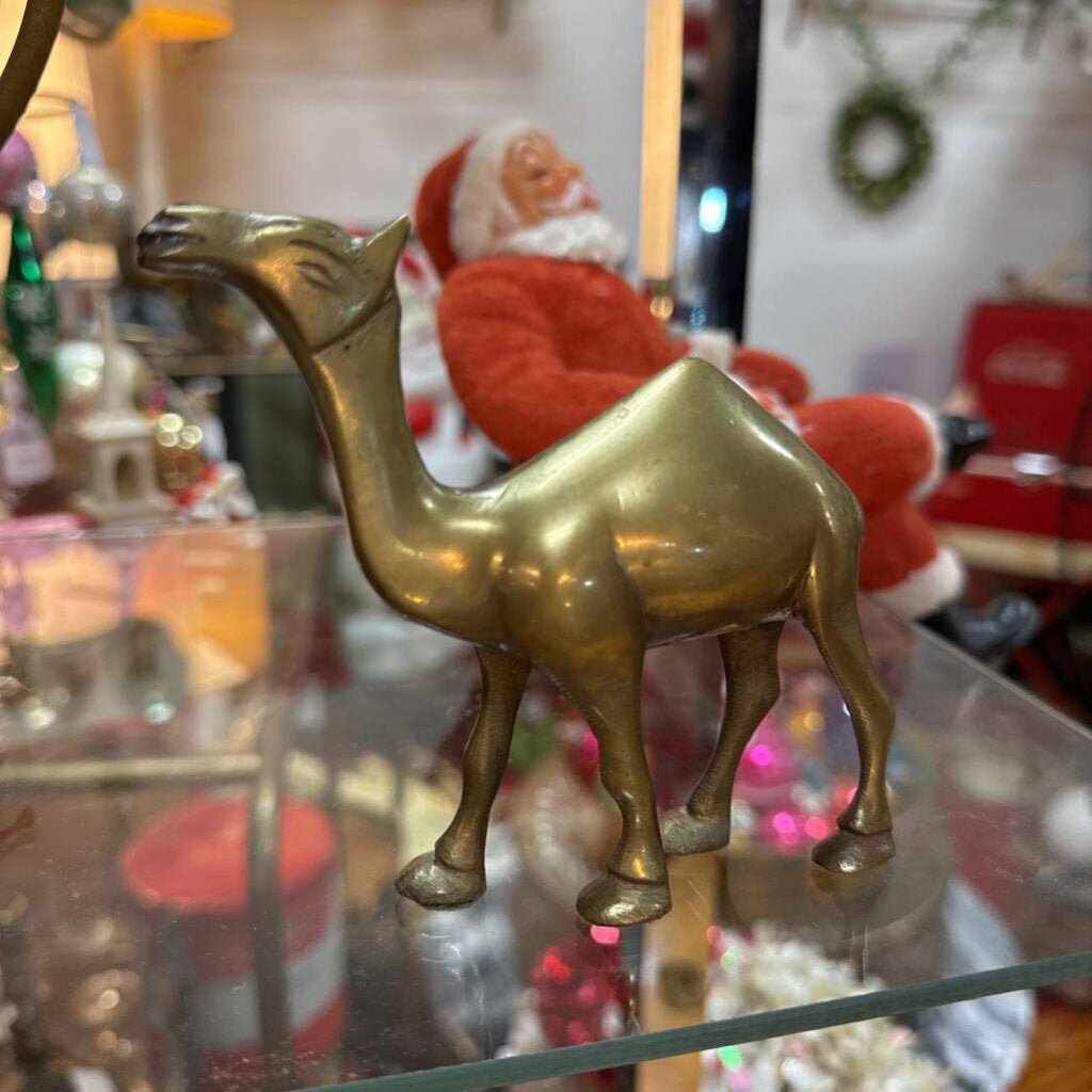 Brass Camel 4" W1953