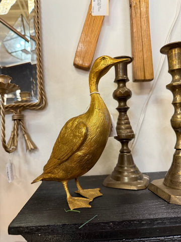 Brass Duck
