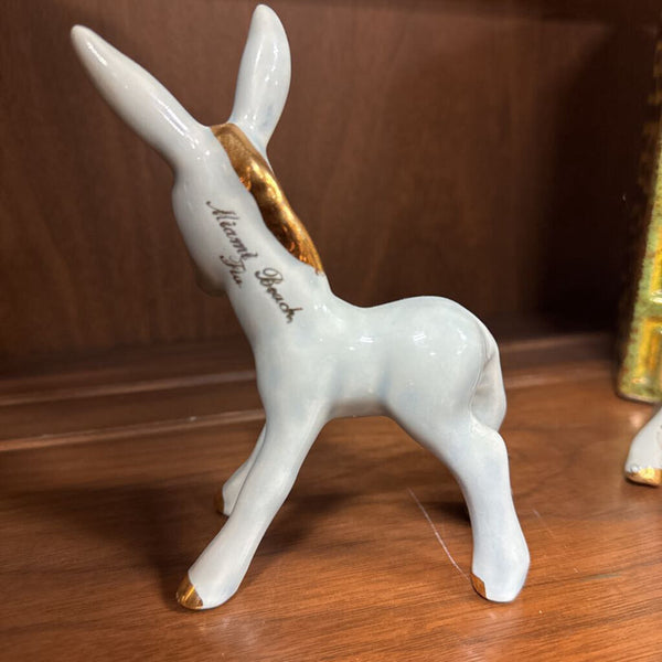 Miami Beach Donkey W1974